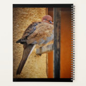 居眠り鳩 プランナー手帳 (裏面)