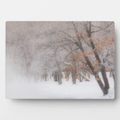 屈斜路湖 | 冬の雪 フォトプラーク (正面)
