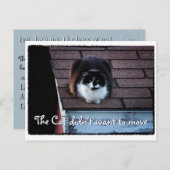 屋上おもしろいのタキシード猫の動きのお知らせ 案内ポストカード (正面/裏面)