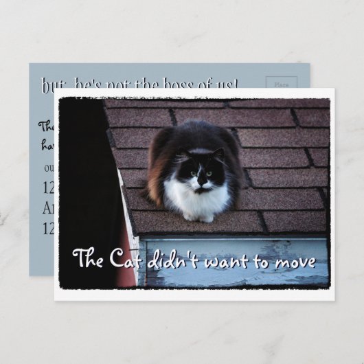 屋上おもしろいのタキシード猫の動きのお知らせ 案内ポストカード (正面/裏面)