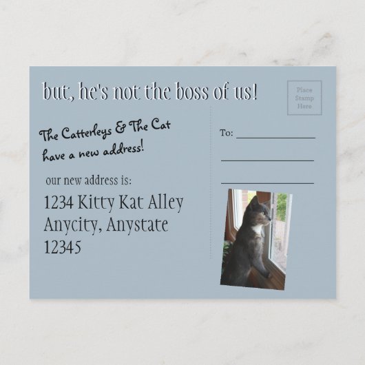 屋上おもしろいのタキシード猫の動きのお知らせ 案内ポストカード (裏面)