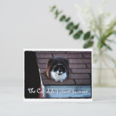 屋上おもしろいのタキシード猫の動きのお知らせ 案内ポストカード (スタンド正面)