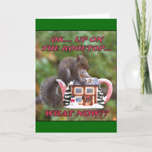 屋上での上 シーズンカード (正面)