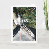 屋上で過ごすワシオオキツネザル カード (正面)