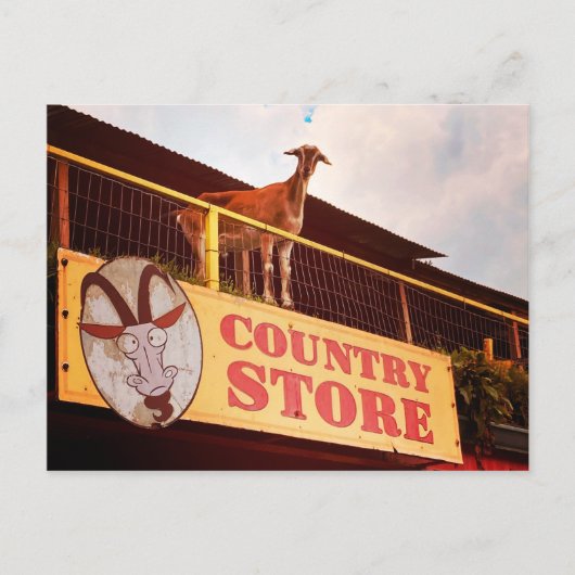 屋上のカントリーストアのヤギ ポストカード (正面)