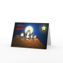 屋上の猫たち、メリークリスマス、ユーモア