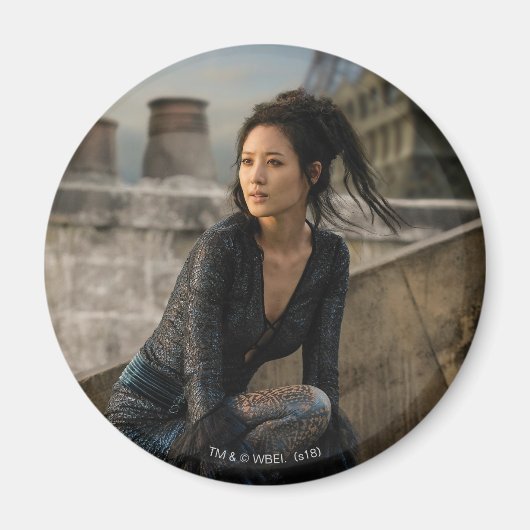 屋上写真のNagini マグネット (正面)