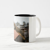 屋上猫アドベンチャーマグ ツートーンマグカップ (正面右)