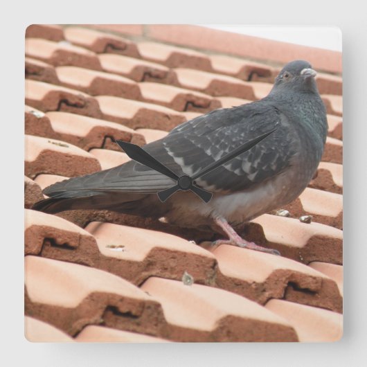 屋上鳩ウォールクロック スクエア壁時計 (正面)