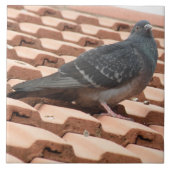 屋上鳩タイル タイル (正面)