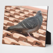 屋上鳩プラーク フォトプラーク (側面)