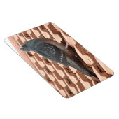 屋上鳩プレミアムマグネット マグネット (右側)