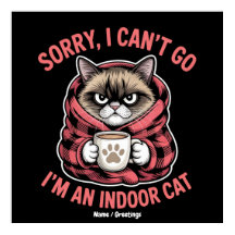 屋内の猫の猫好きに行けなくておもしろいごめん