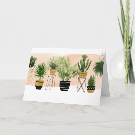 屋内オアシスのコレクション カード (正面)