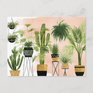 屋内オアシス の植物の整列 ポストカード