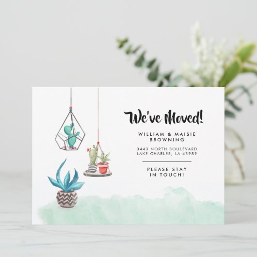 屋内ガーデンキャクティ引っ越しました新しいアドレス 案内状 (スタンド正面)