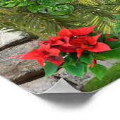 屋内、屋外自然開花 ポスター (角)