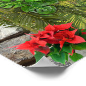 屋内、屋外自然開花 ポスター (角)