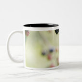 屋外に育つブラックベリー ツートーンマグカップ (左)