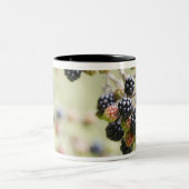屋外に育つブラックベリー ツートーンマグカップ (中央)