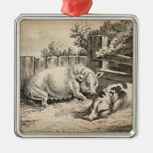 屋外のペンセラミックで藁に寝ている2匹の豚 メタルオーナメント (正面)