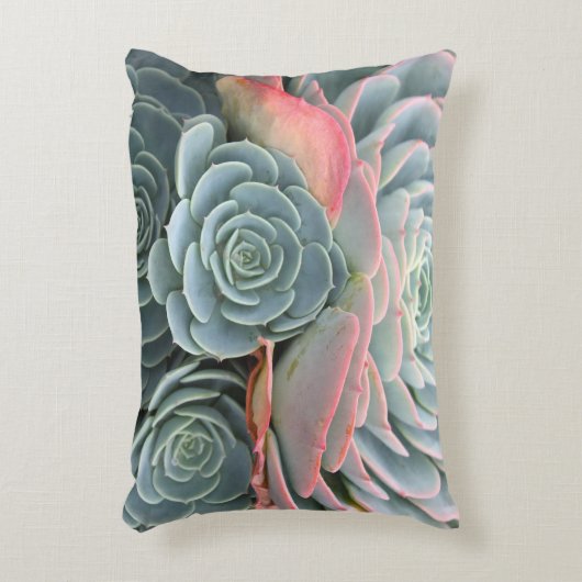 屋外の水気が多い枕、青いEcheverias アクセントクッション (正面(垂直))