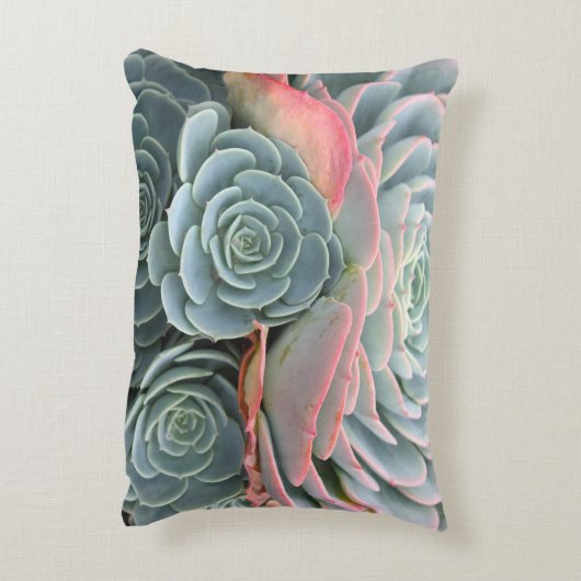 屋外の水気が多い枕、青いEcheverias アクセントクッション (裏面(縦))