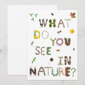 屋外を探検しよう - 教師カード - 野外教育 サンキューカード (正面/裏面)