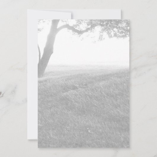 屋外シェードブラック&ホワイトウェディング日付を保存 セーブザデート (裏面)