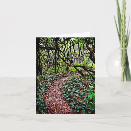 屋外シーンの折り畳みグリーティングカード カード (正面)