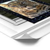 屋外ビュー – 霧の朝 ポスター (角)