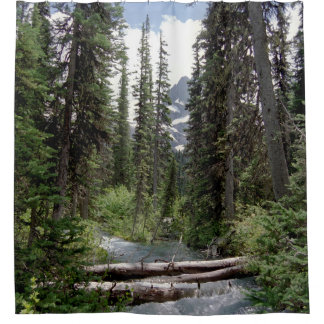 屋外場面 シャワーカーテン