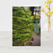 屋外市場カード カード (黄色い花)