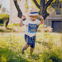 屋形船で花火をする猫たち