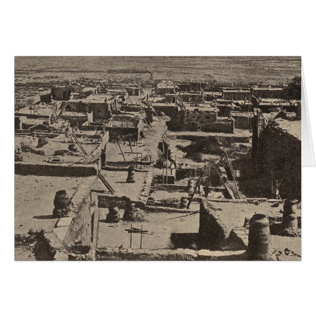 屋根のツニ (正面横)