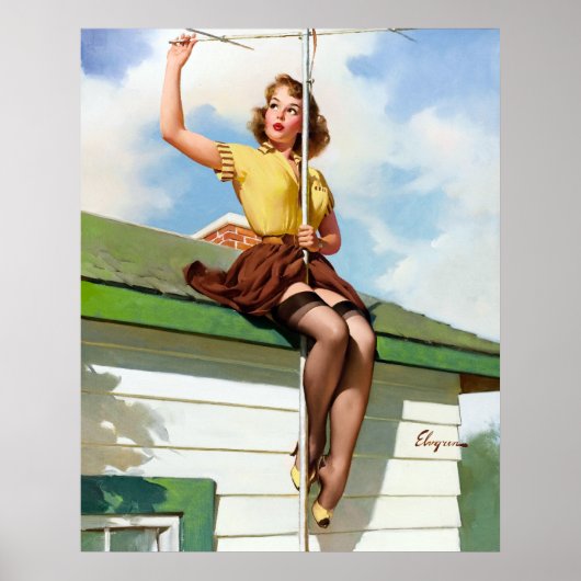 屋根の上にピン留め ポスター (正面)