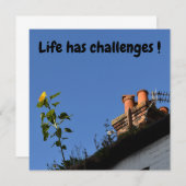 屋根の上のひまわり。 (正面/裏面)