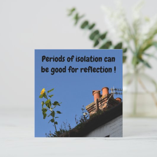 屋根の上のひまわり (スタンド正面)