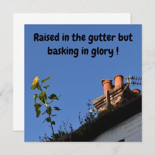 屋根の上のひまわり。 (正面/裏面)