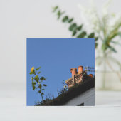 屋根の上のひまわり。 (スタンド正面)