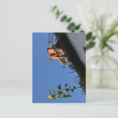 屋根の上のひまわり。 ポストカード (スタンド正面)