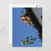 屋根の上のひまわり。 ポストカード (正面/裏面)