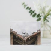 屋根の上の鳥 ポストカード (スタンド正面)