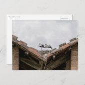 屋根の上の鳥 ポストカード (正面/裏面)