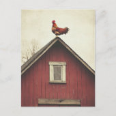 屋根の上の鶏 ポストカード (正面)