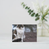 屋根の名刺のRagdoll猫 名刺 (スタンド正面)