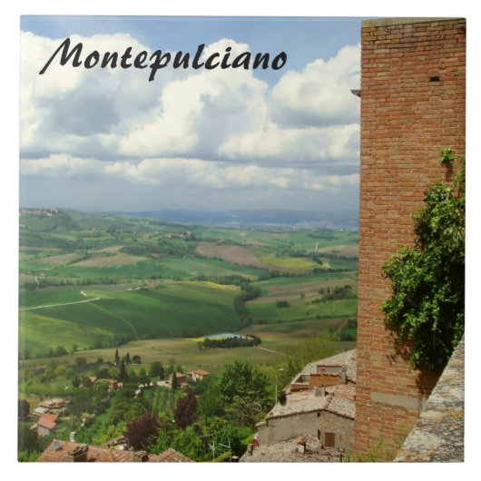 屋根の向こう2 タイル (正面)