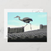 屋根の歩行器 ポストカード (正面/裏面)