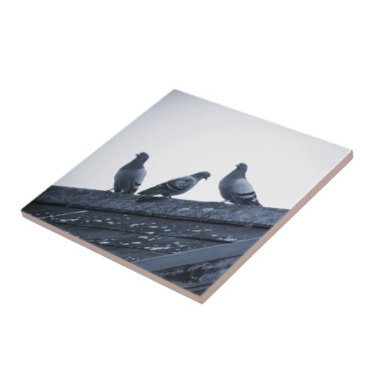 屋根の3羽のハト タイル (側面)