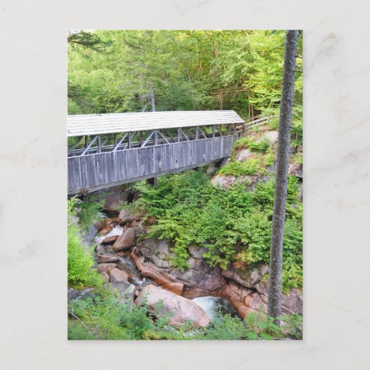 屋根付き木製ブリッジセンティネル松はがき ポストカード (正面)